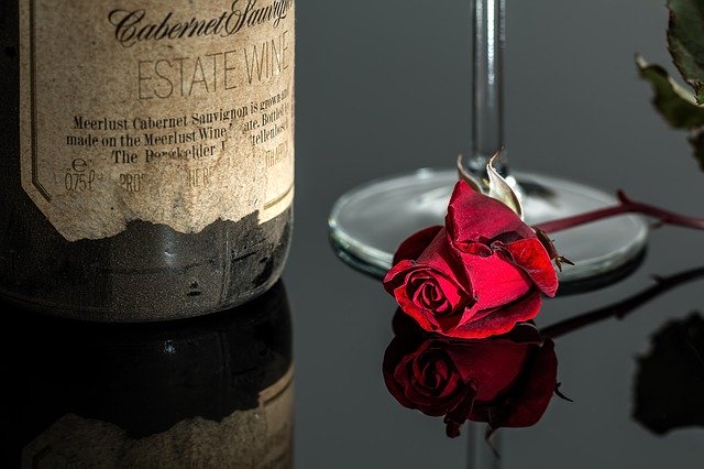 Красная роза - символ дня Валентина в Германии / ketvilz.ru